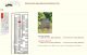 Graf locatie